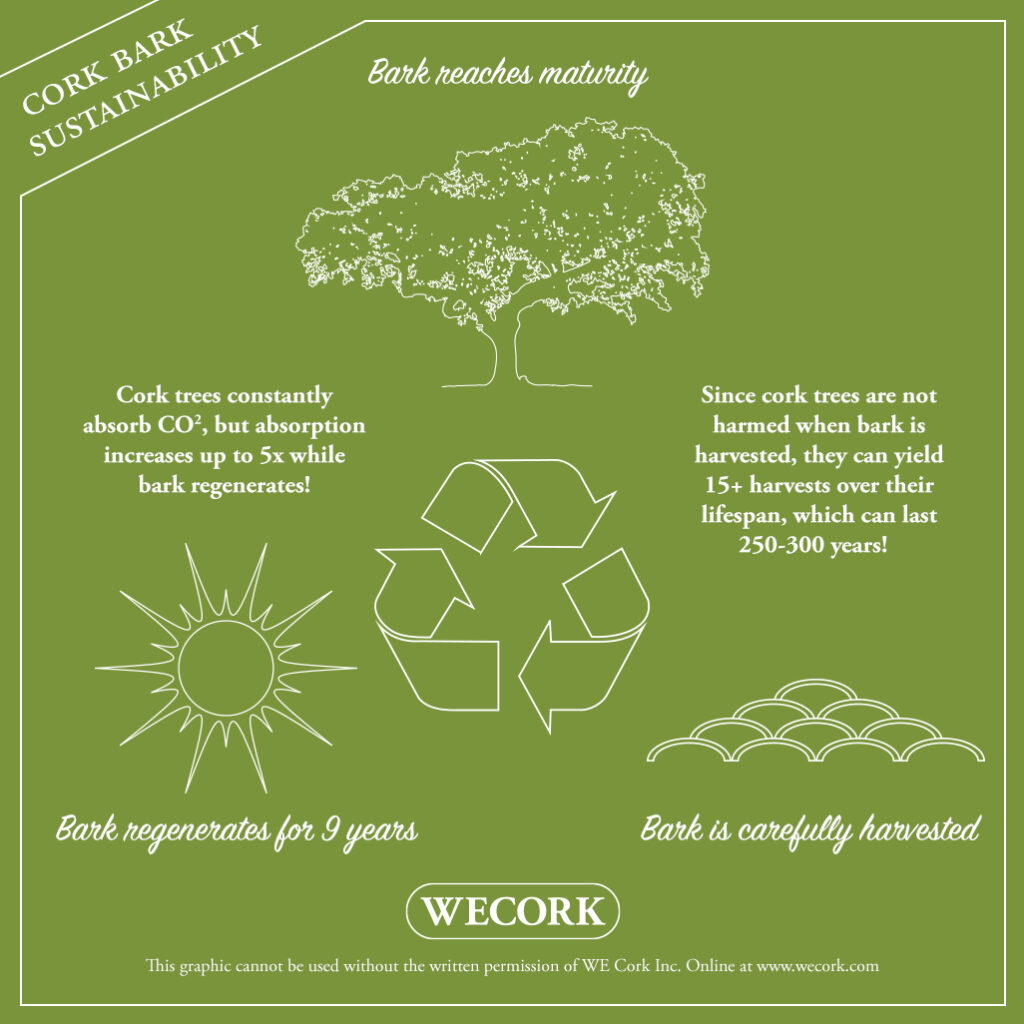 Cork Sustainability Infographic