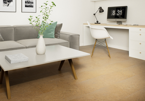 Healthy & Natural Flooring - Renaissance Earth - Home Office